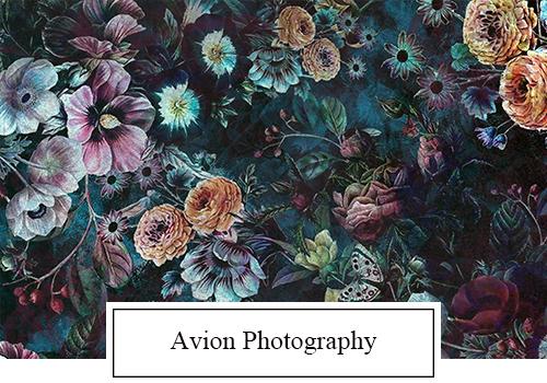 Avion Photography