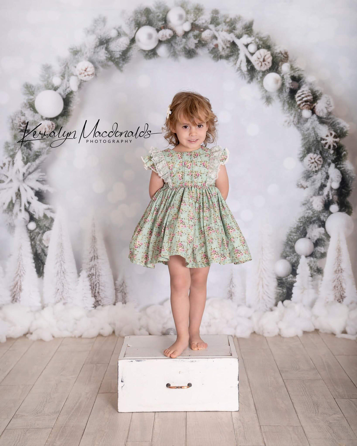 Kate 白 クリスマス ボケ味 誕生日 背景 写真撮影用