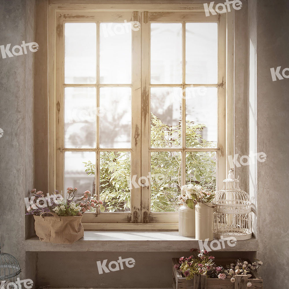 Kate屋内窓日光背景植物Emetselch設計