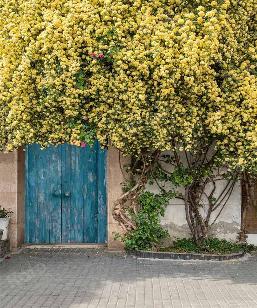Kate写真撮影のための夏/春の花の木の背景の日光Chainデザイン