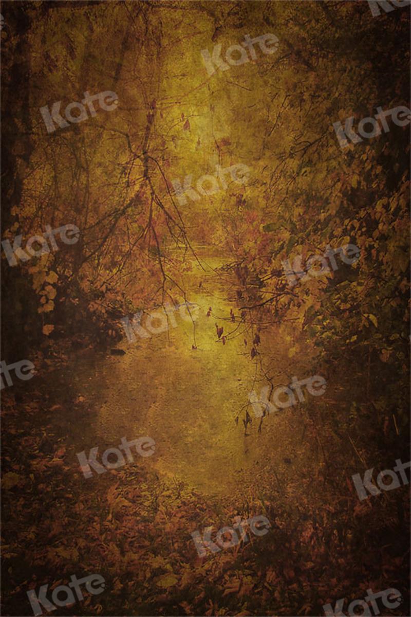 Kate写真撮影の晩秋の風合い概要の抽象的な背景