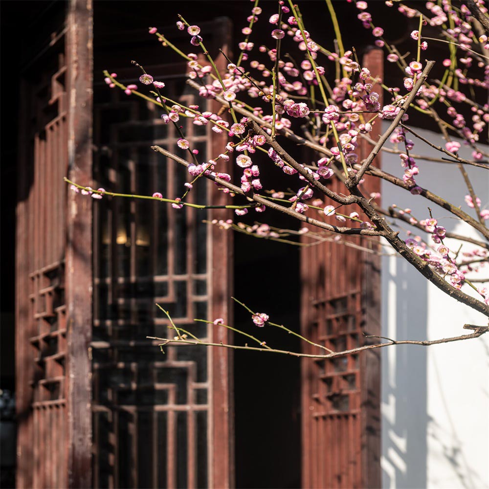 Kateヴィンテージの庭の建物の花の背景