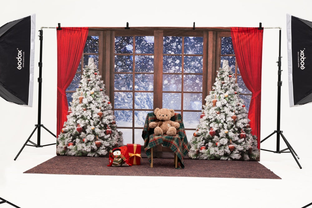 Kate冬の雪のクリスマスウィンドウの背景写真家Chain
