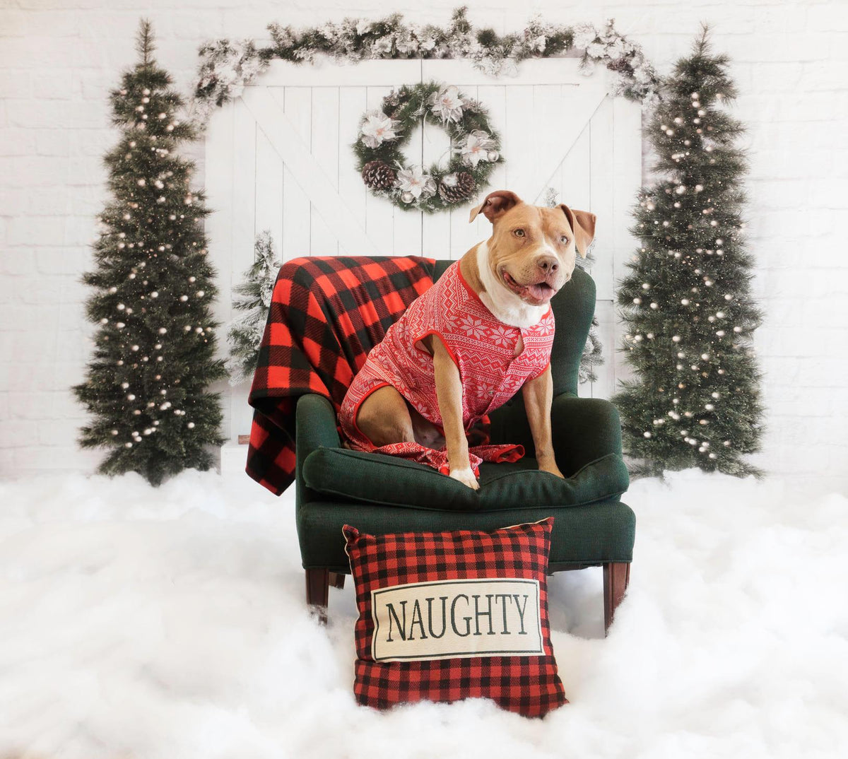 kateクリスマスツリーの背景納屋のドアの雪Emetselchによって設計