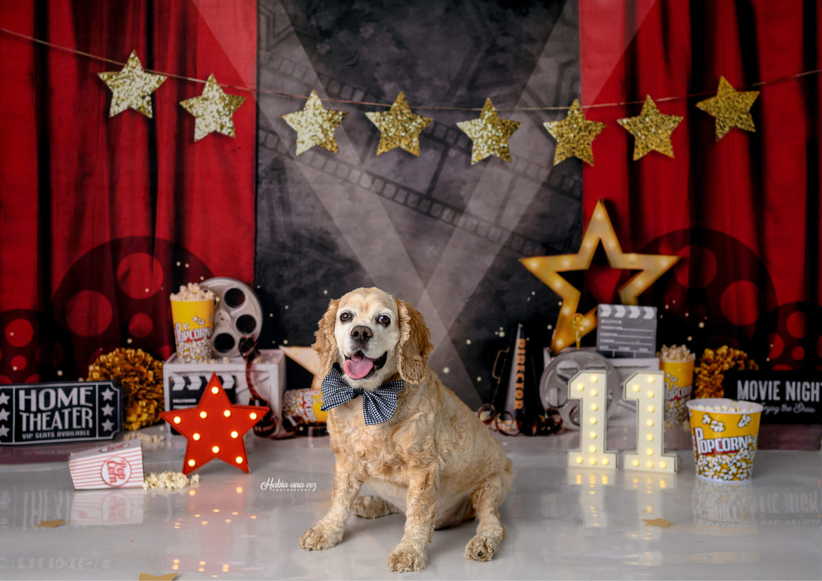 Kate Mandy Ringe Photography 誕生日会映画の夜の背景赤いカーテン
