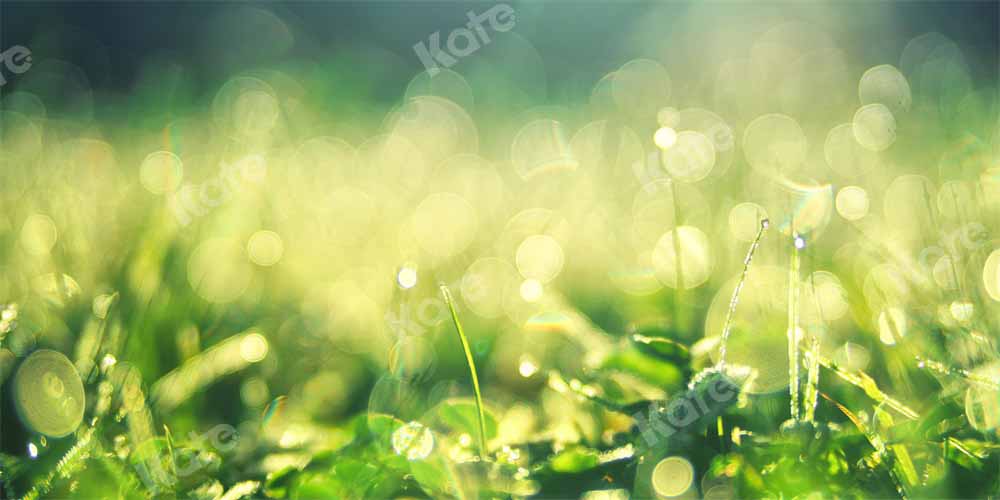 Kate 春の緑の草の軽い穀物のボケ味の背景Chain写真撮影
