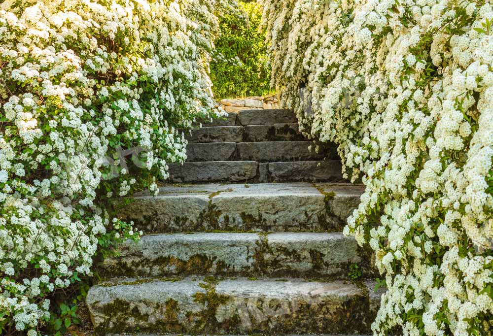 Kate春の花のステップの背景Emetselchデザイン