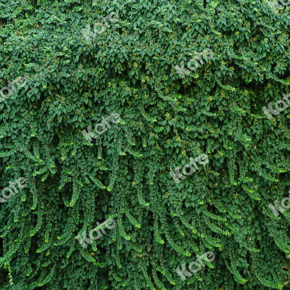 Kate夏の植物の壁の背景緑の葉Chainデザイン