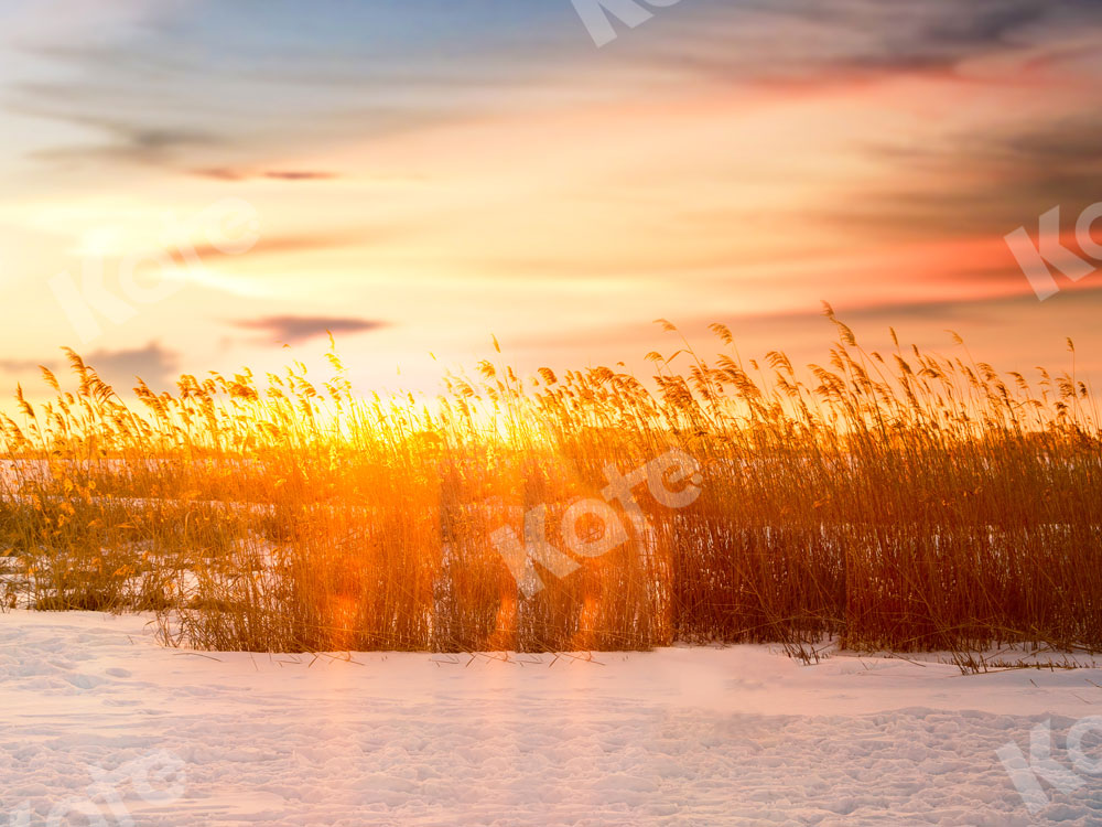 Kate 写真撮影のための水辺の葦の夕日の背景
