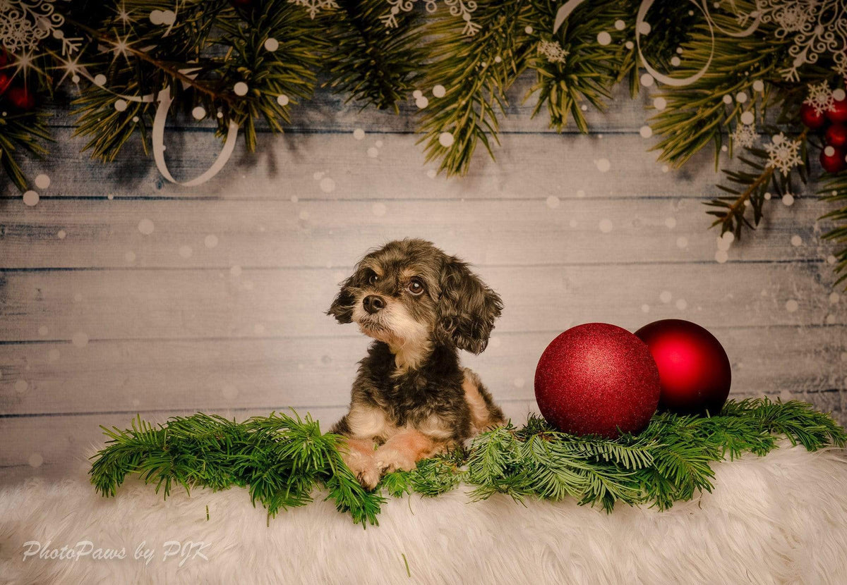 Kate ウッドクリスマス背景