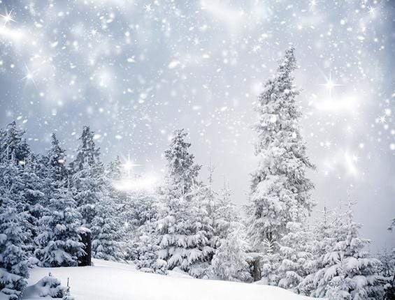 Kate 写真撮影のための木々を背景にクリスマス冬のワンダーランド
