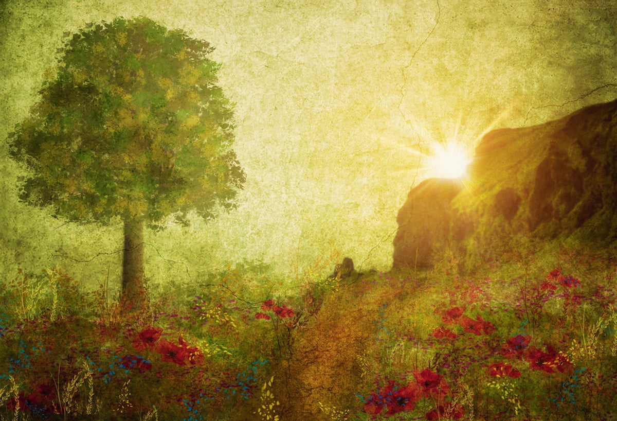 写真撮影のためのKate夏の絵画ヴィンテージ日の出背景