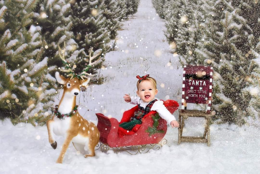 Kate 雪のクリスマスツリーファームの背景