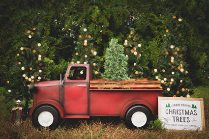 Kate 赤い車のクリスマスツリーファームの背景 によって設計された Pine Park Collection
