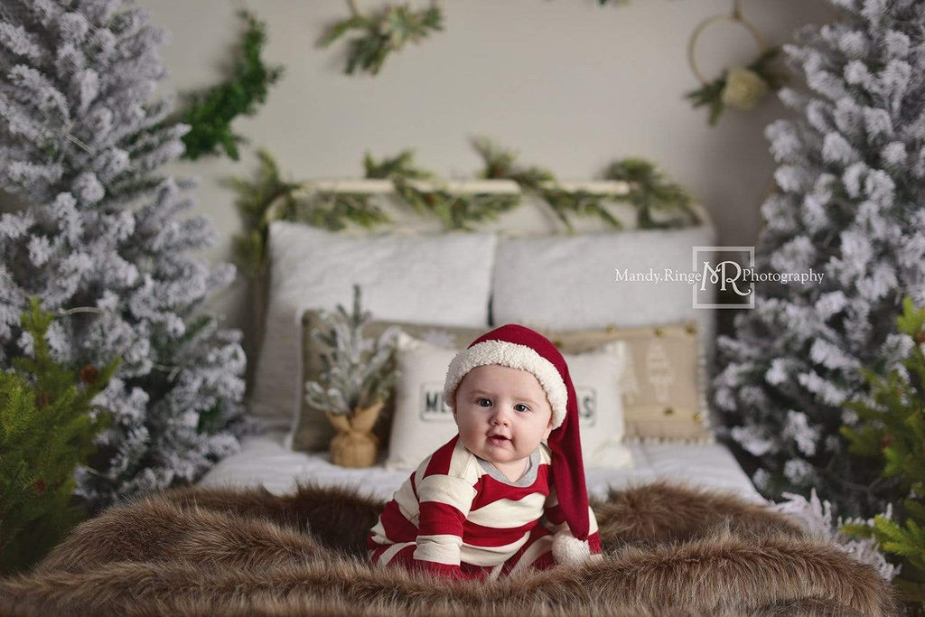 Kate クリスマス/冬のベッドの背景設計されたMandy Ringe Photography