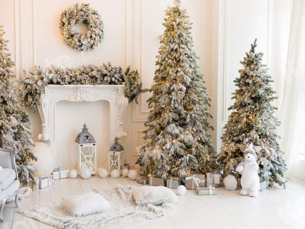 Kate 写真撮影のためのクリスマスのクマの白い背景