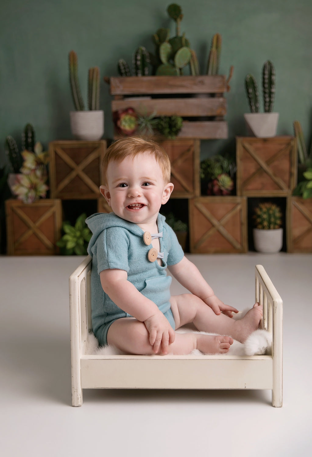 Kate 子供のための木枠を背景にした春のサボテンと多肉植物