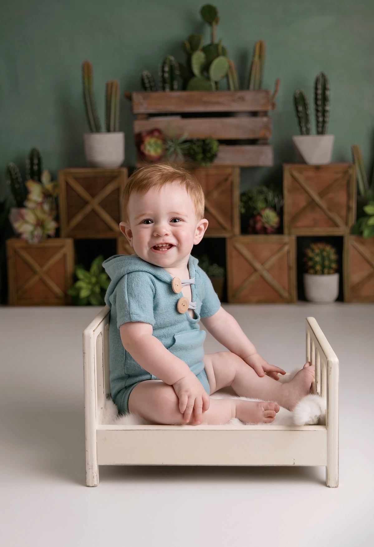 Kate 子供のための木枠を背景にした春のサボテンと多肉植物