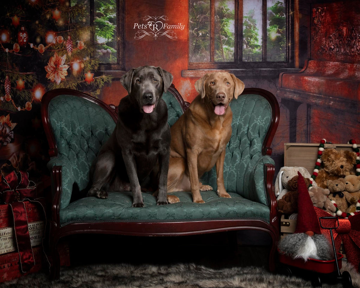 Kate レトロなリビングルームのクリスマスツリーの背景色