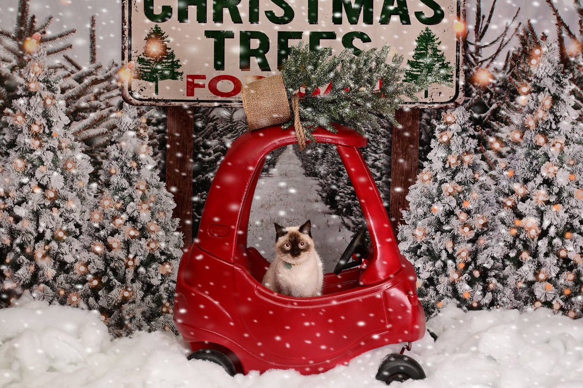 Kate クリスマスの農場の木の写真の背景