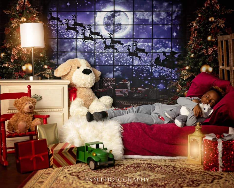 kate写真撮影のためのクリスマスの窓そりの背景エルク