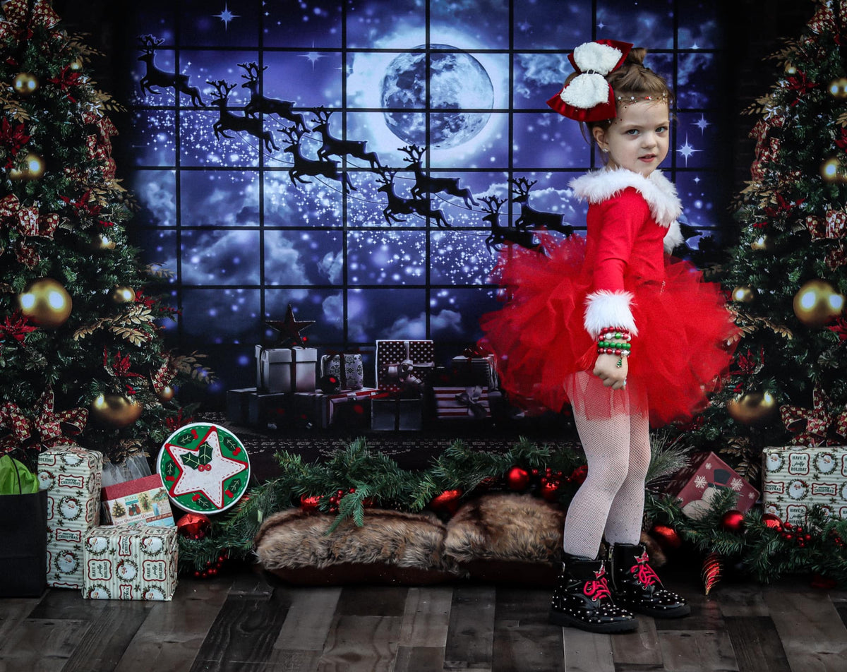kate写真撮影のためのクリスマスの窓そりの背景エルク