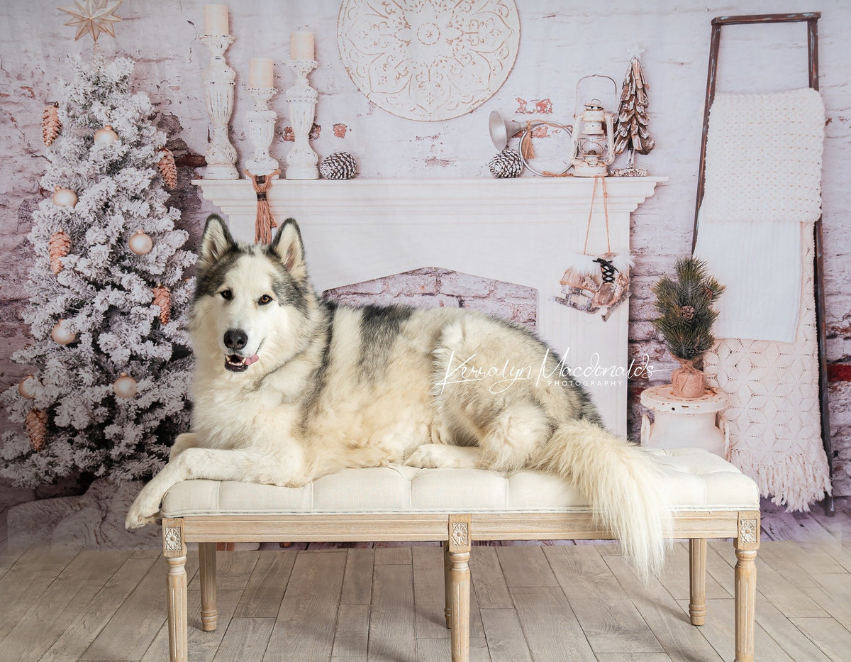 Kate クリスマスの装飾レンガの部屋の背景設計された Pine Park Collection