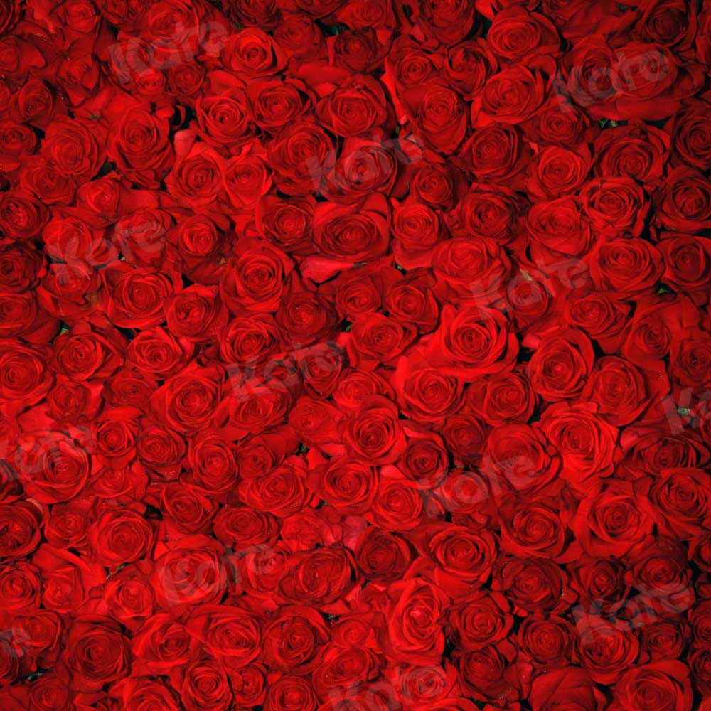 Kate赤いバラのバレンタインデーの花の写真の背景