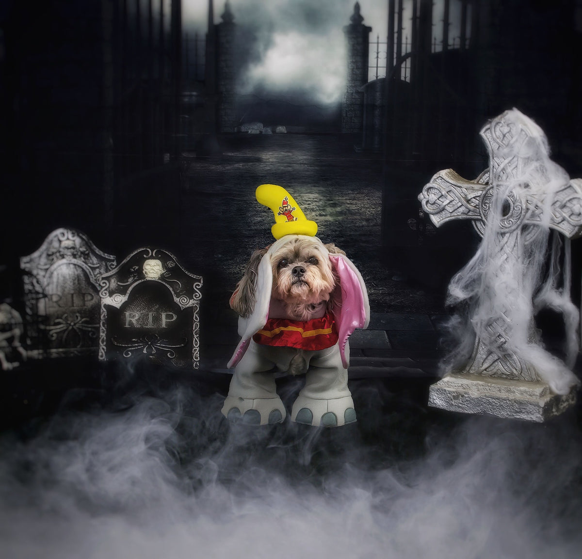 Kate 写真のハロウィン生地背景お化け屋敷