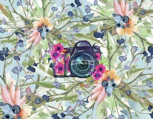 Kate 写真用のレッドベリーの花の背景