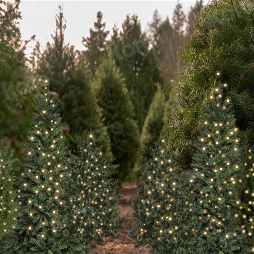 写真撮影のためのケイトのクリスマスツリーの背景の森