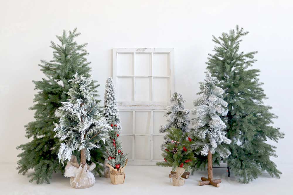 写真撮影のためのkateクリスマス冬の背景の木白