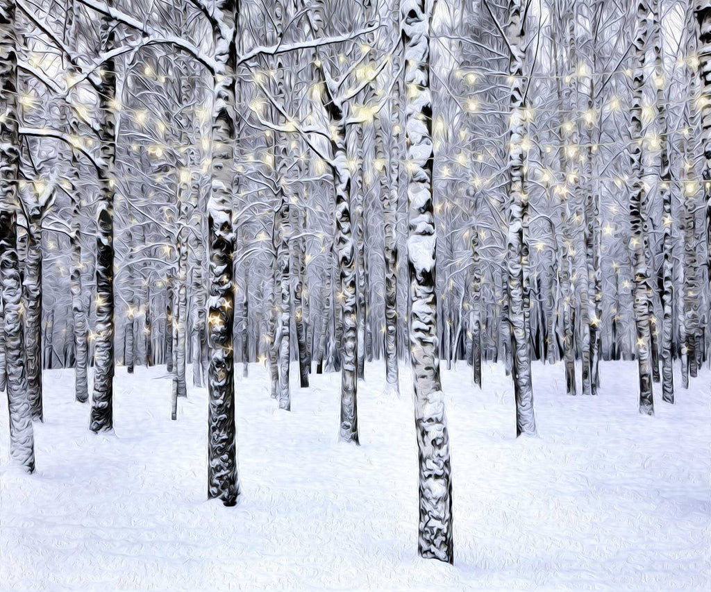 写真撮影のためのKateクリスマスの森の背景冬